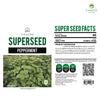 Pepper Mint Herb Seeds, 40 Seeds