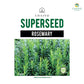 Rosemary Herb Seeds 10 Seeds
