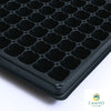 Black Seedling Tray – 200 Holes