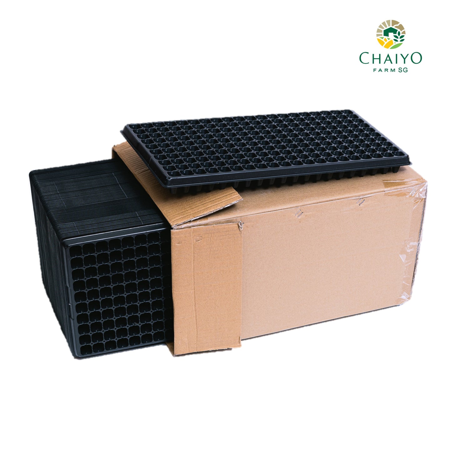 Seeding tray (Black) 50, 105, 200 holes