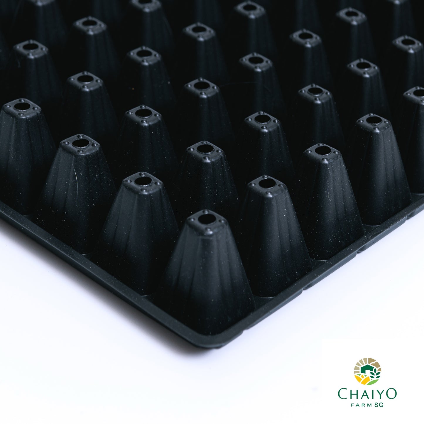 Seeding tray (Black) 50, 105, 200 holes