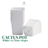 White Cactus Pot 6.75cm – 10 pcs/pack