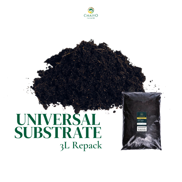 potting mix singapore Van Egmond Universal Substrate 3L