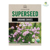 Chives (Organic) Herb seed, 25 seeds