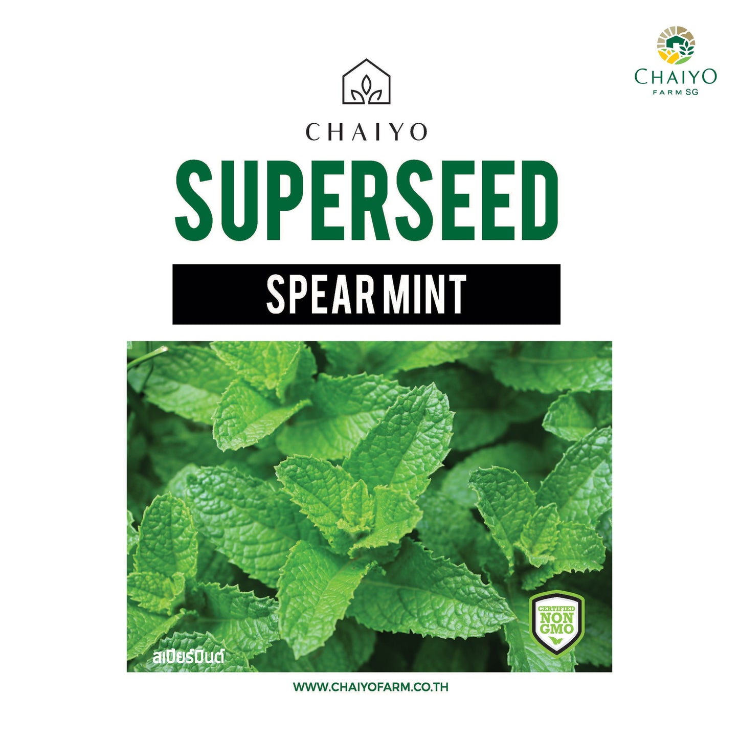 Spear Mint Herb Seeds, 20 Seeds