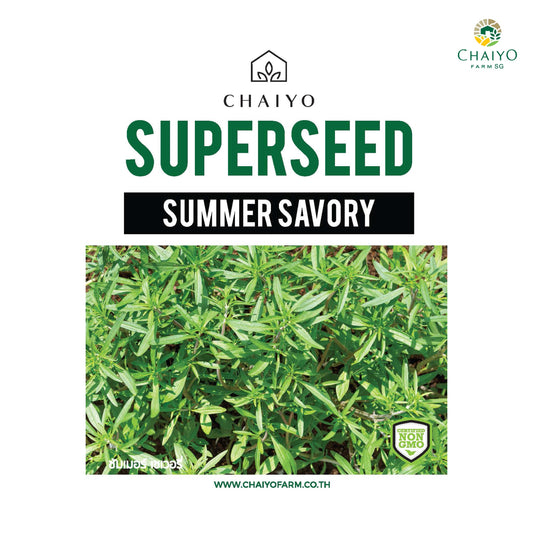 Summer Savory Herb Seeds, 400 Seeds