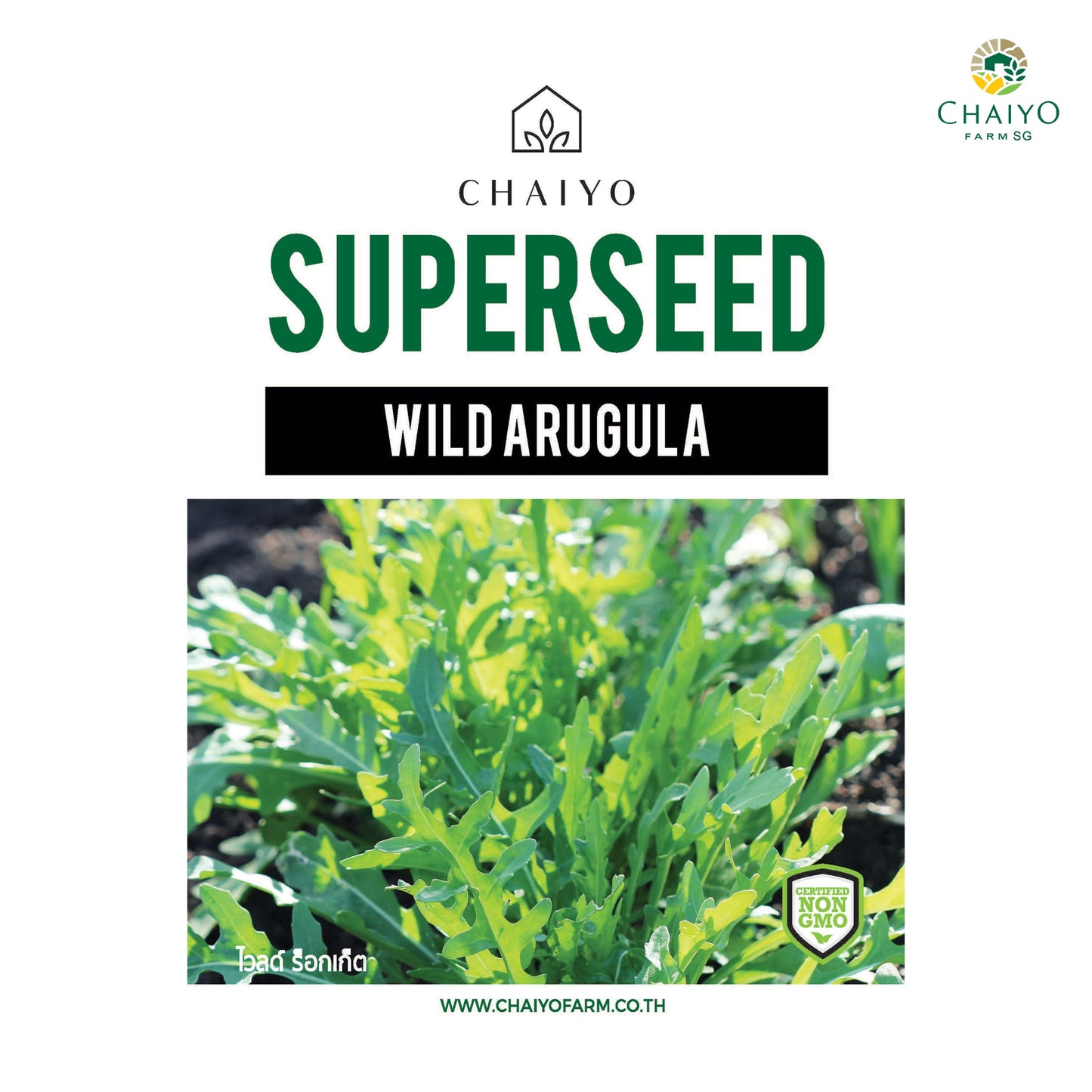 Wild Arugula (Wild Rocket) Herb Seeds, 850 Seeds