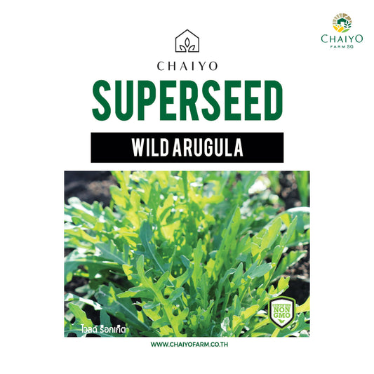 Wild Arugula (Wild Rocket) Herb Seeds, 850 Seeds