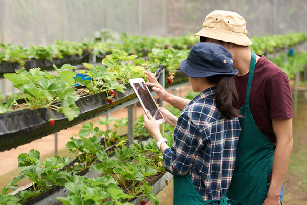 Hydroponics 101