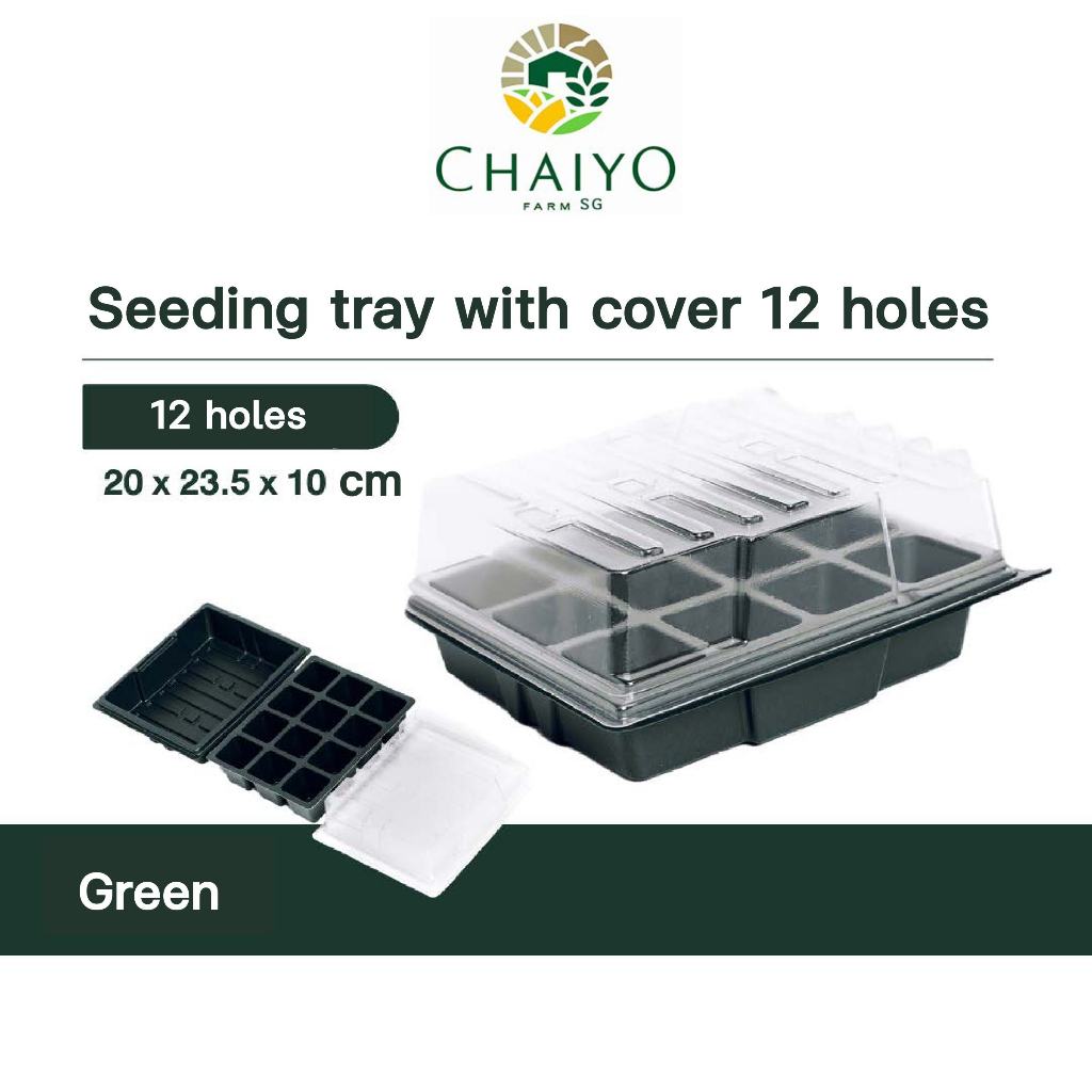Seeding tray with cover 12, 24 holes (Green, Green)