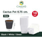 Cactus pot 6.75 cm 10 pcs/pack (Black/White/Green)