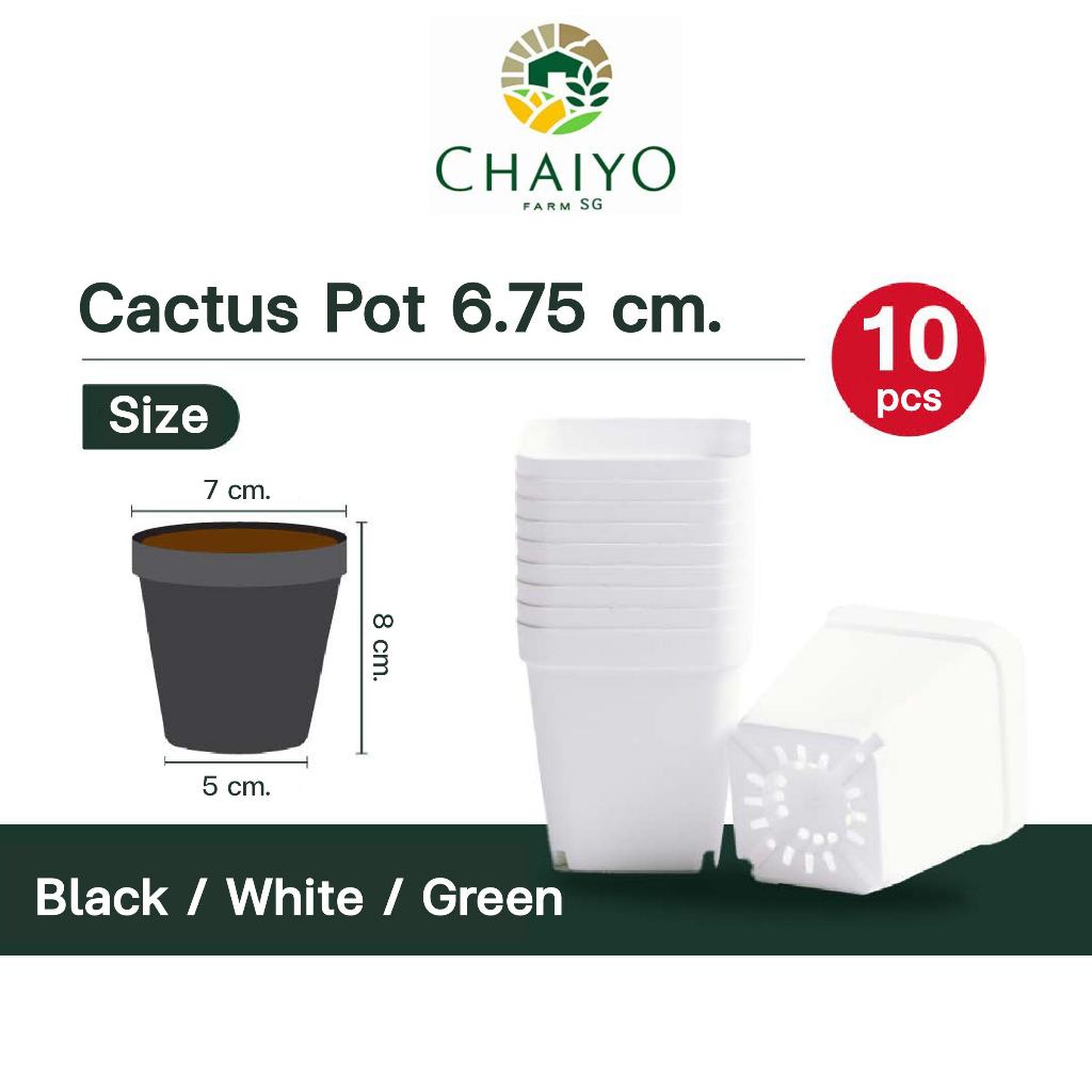 Cactus pot 6.75 cm 10 pcs/pack (Black/White/Green)