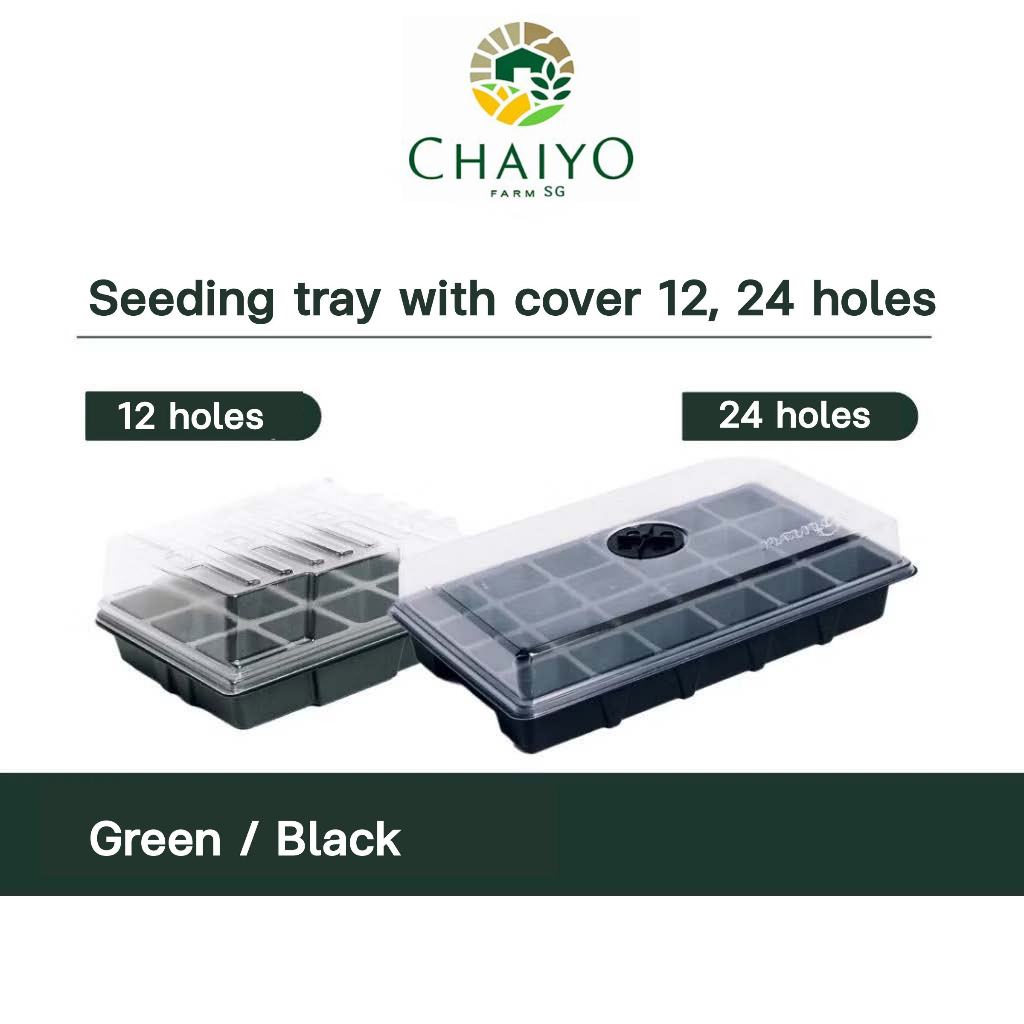 Seeding Tray