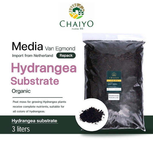 Hydrangea substrate 3L (Repack) Van Egmond, Peat moss