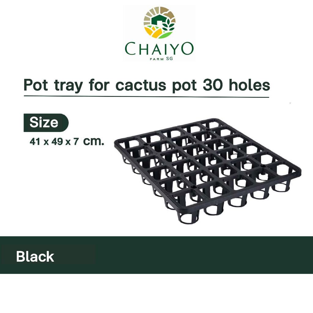 Potting Tray